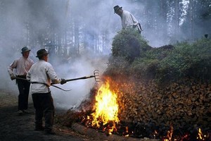 tjaerebraendning1 - Trætjære